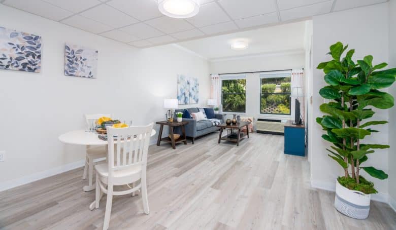 Bright, modern living and dining area with light wood floors, a cozy round dining table, sofa, side tables, wall art, a large green plant, and spacious windows. Schedule a Tour to experience the abundant natural light and inviting atmosphere.